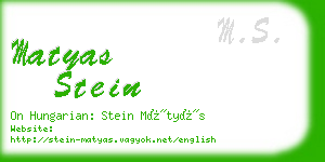 matyas stein business card